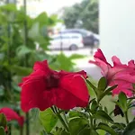 Gracja ホームステイ ウェバ