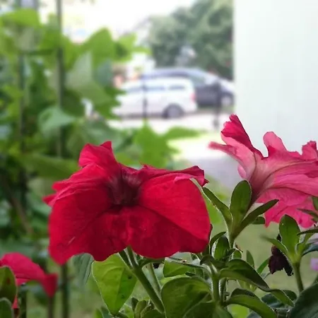 Gracja Δωμάτια σε οικογενειακή κατοικία Łeba