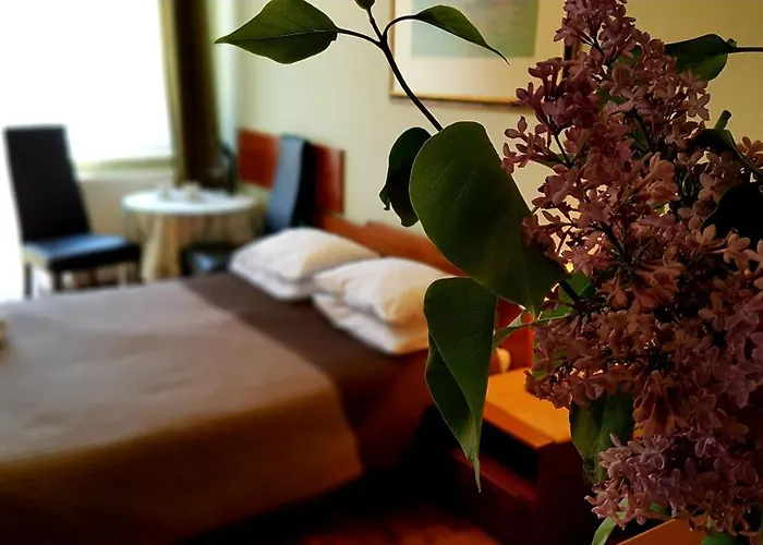 Gracja Homestay szállás *