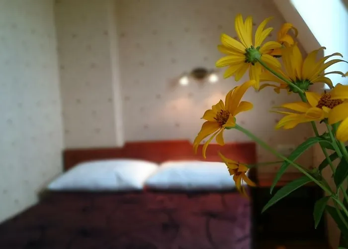 Homestay szállás Gracja Łeba