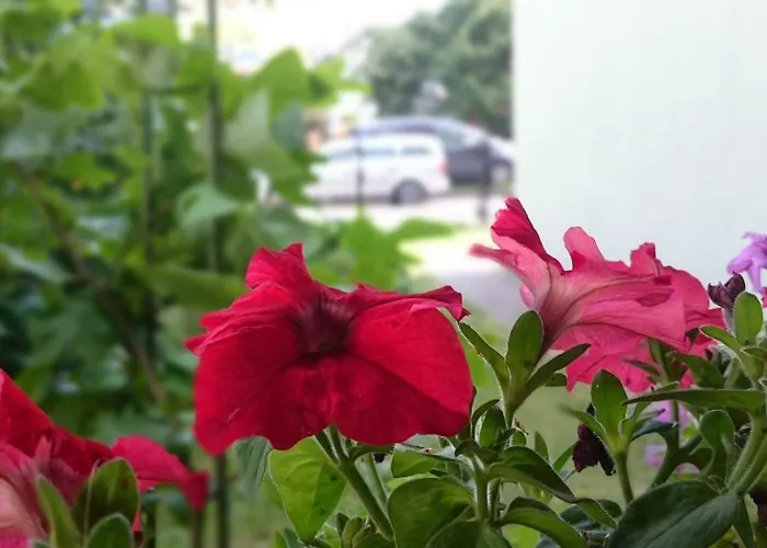 Gracja Homestay szállás Łeba