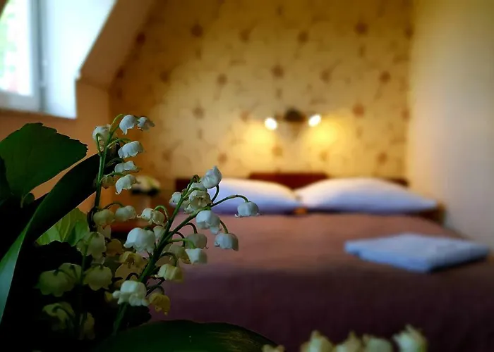 Homestay szállás Gracja Łeba